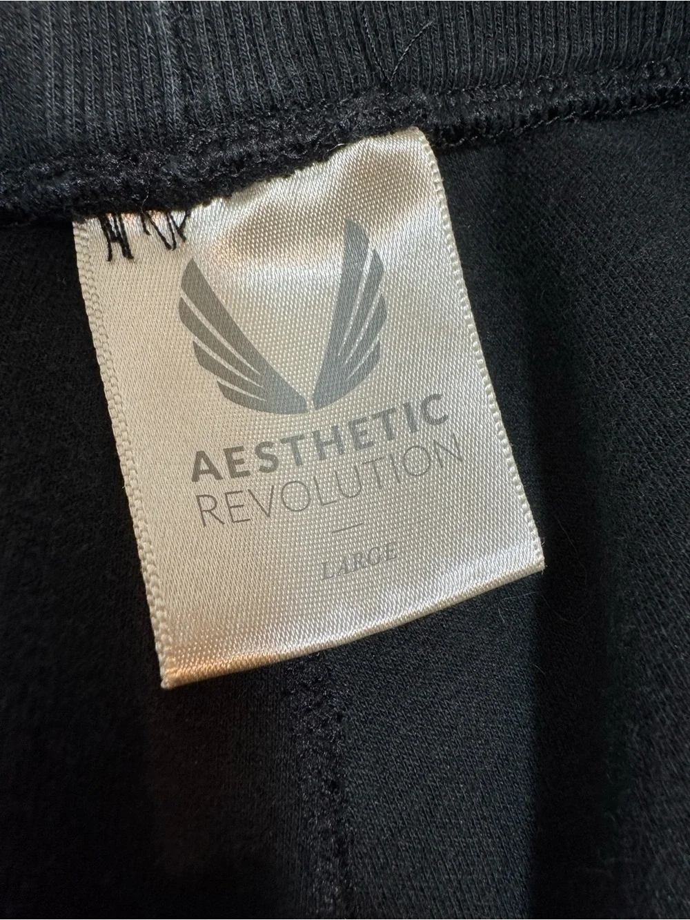 ASRV Aesthetic Revolution Men's cargo short Black